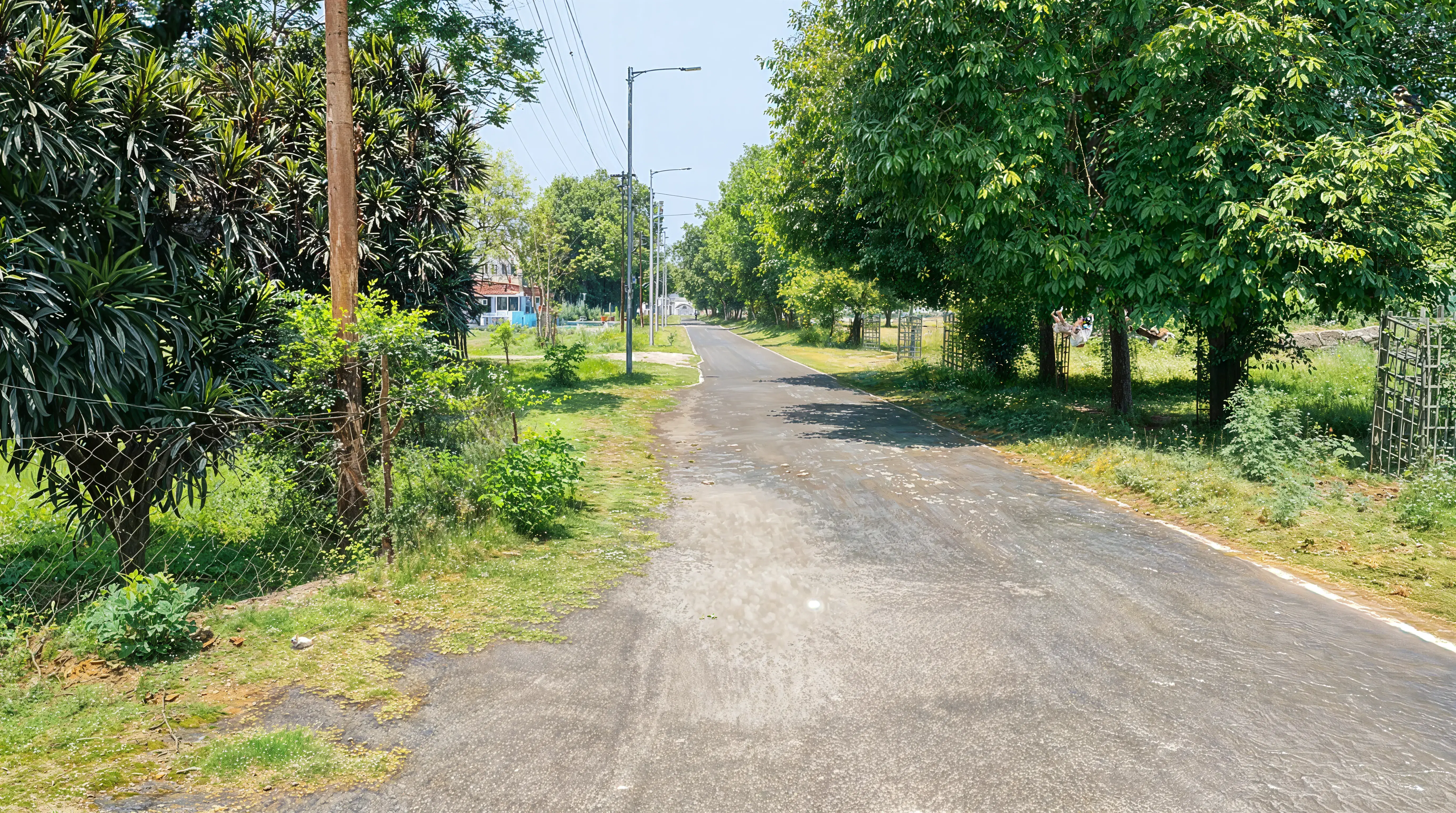 MIT Muzaffarpur campus photo 1